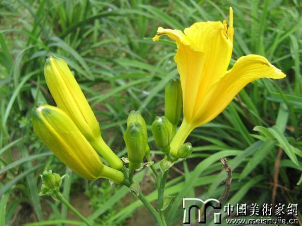 點擊查看大圖