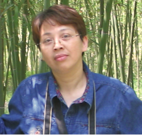 点击查看大图